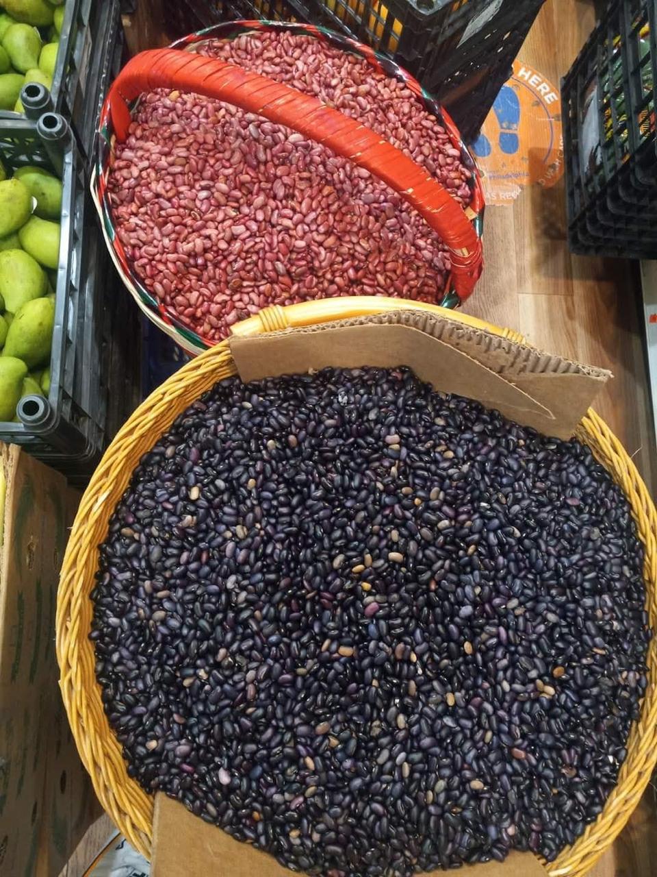 Imagen 22